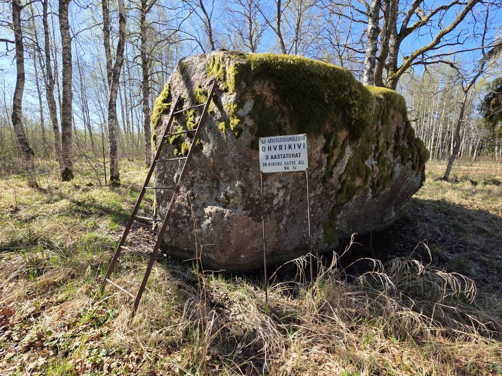Ubasalu ohvrikivi kevadel