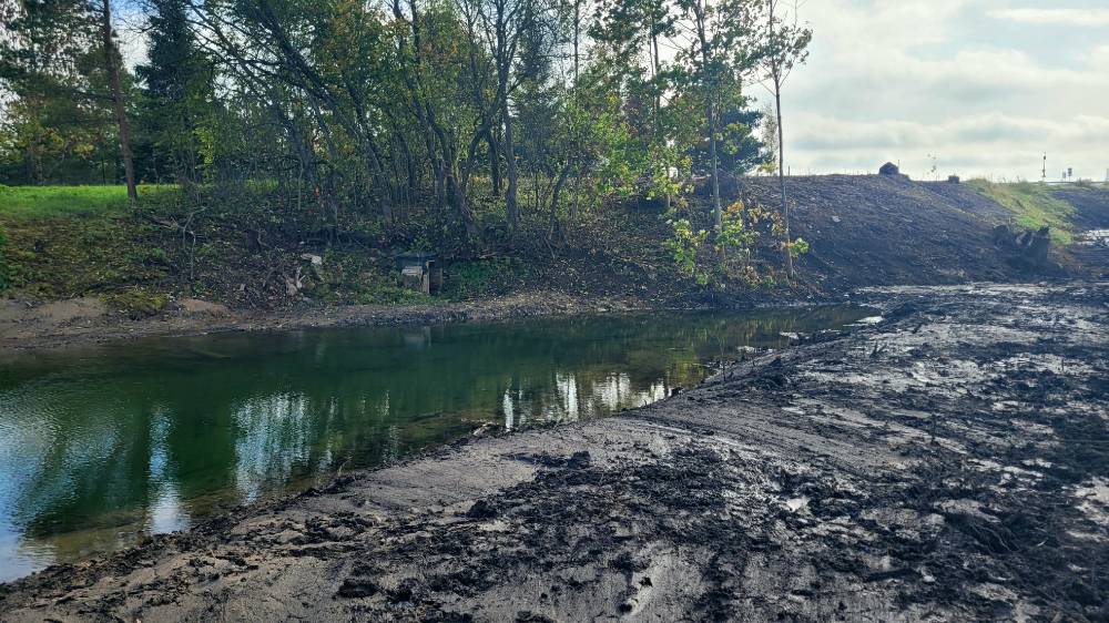 Hiie valu: hävitatud puud Vana-Olgina allika ümbruses