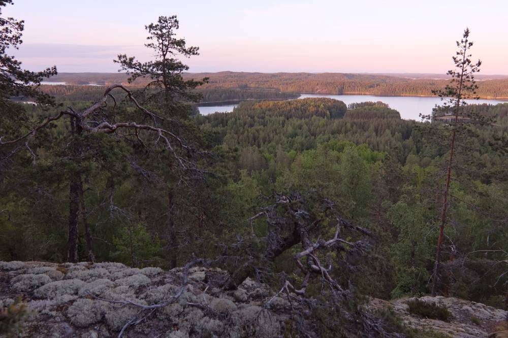Neitvuoren ilta
