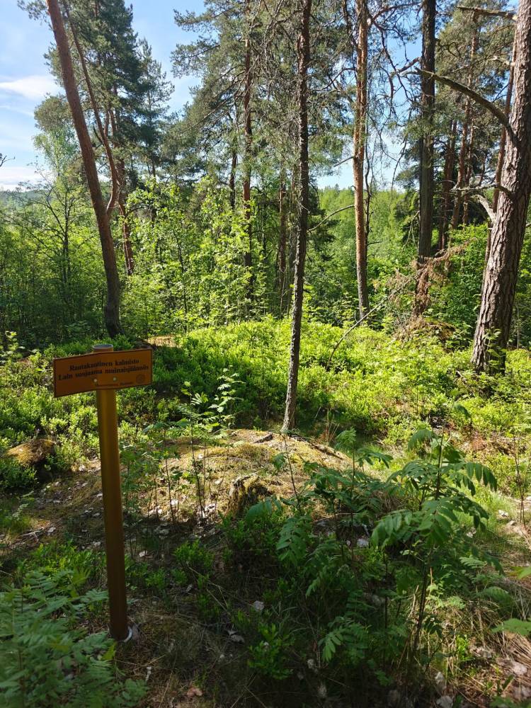 Rautakautinen kalmisto