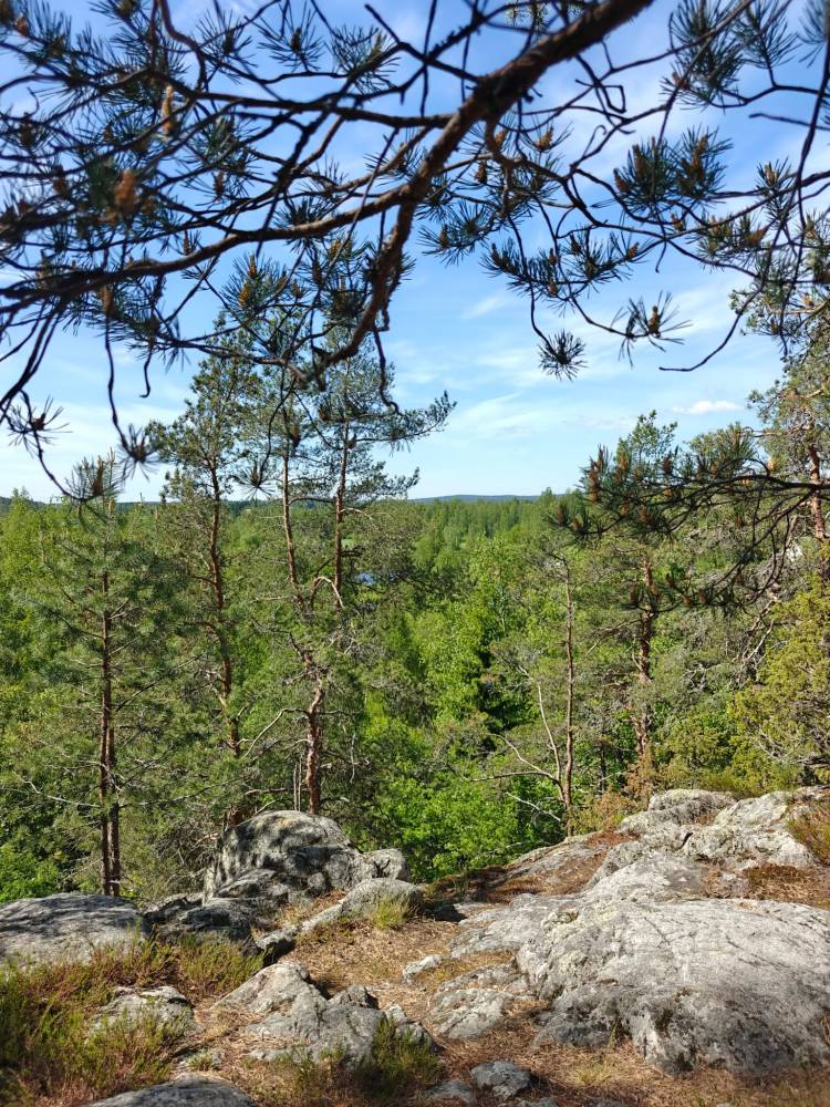 Rautakautinen kalmisto