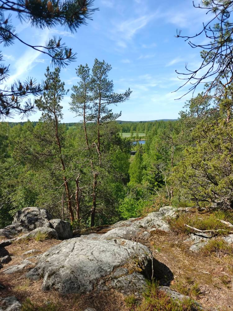 Rautakautinen kalmisto