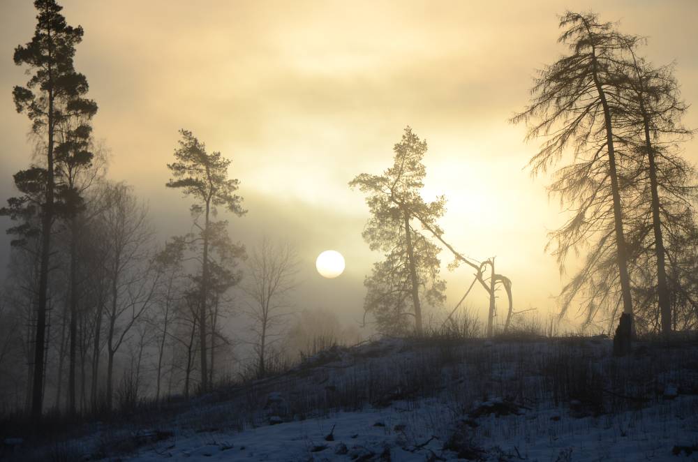 Udus ärkav hiiemägi