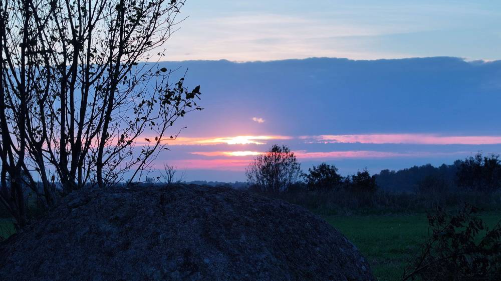 Kalju Kivi