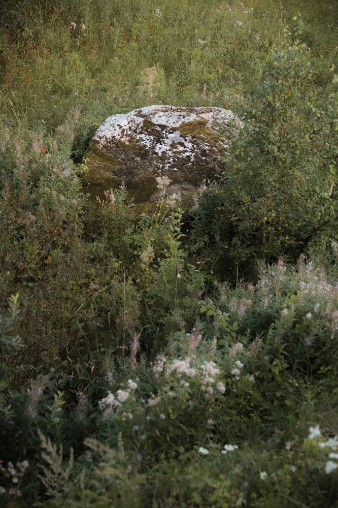 Rohelusse peitunud