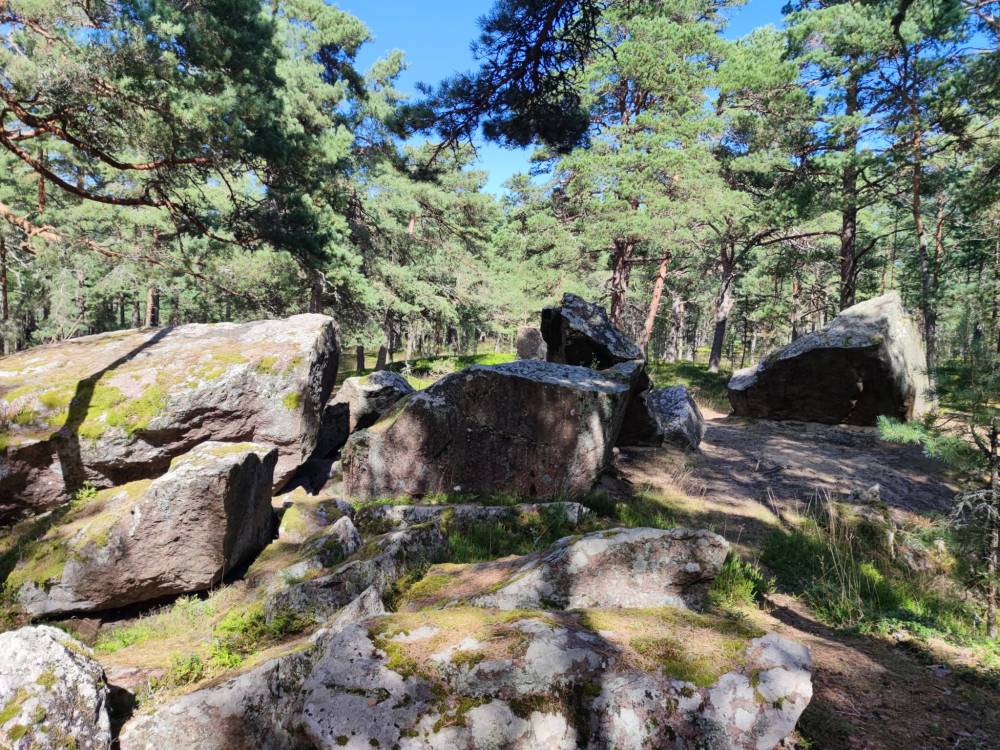 Vigastatud piirkond 