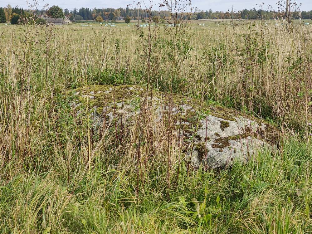 Näoga õnnekivi 