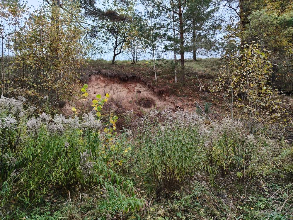 Lalli Hiiemägi