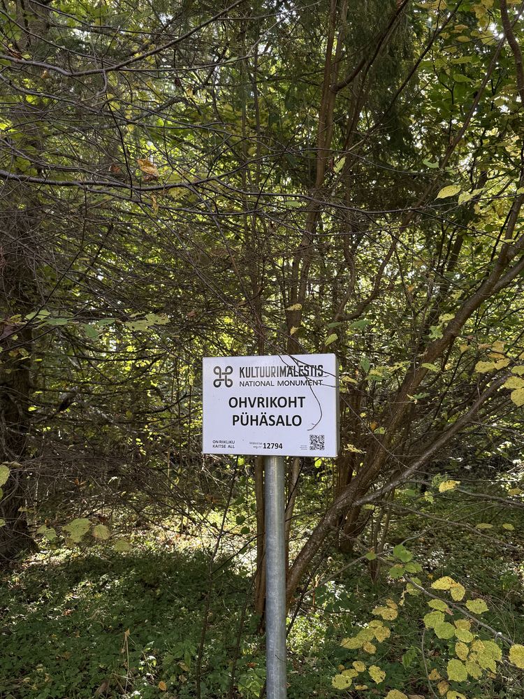 Kiigeoru hiiesalu