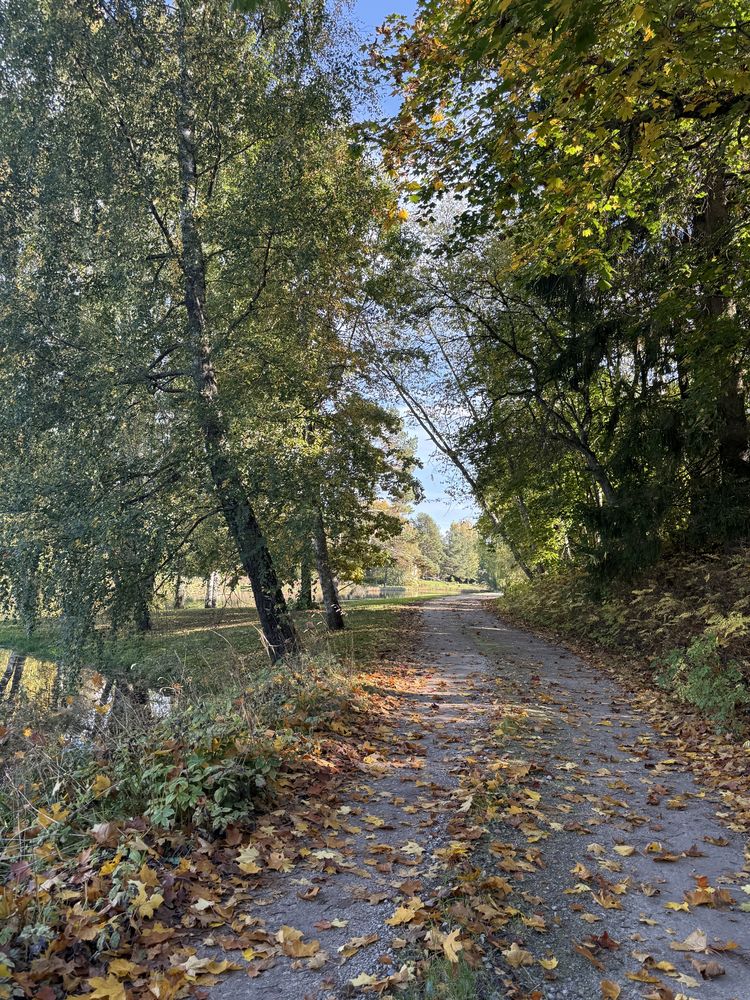 Nõiaallikas