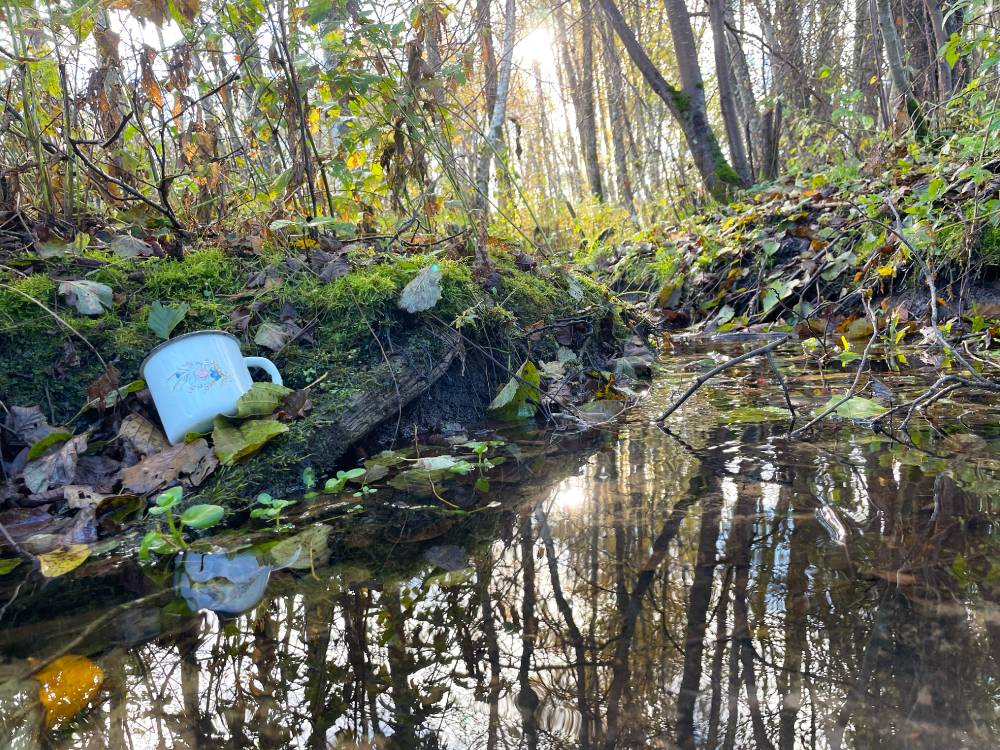 Mõisapreili and, karjapoisi õnn