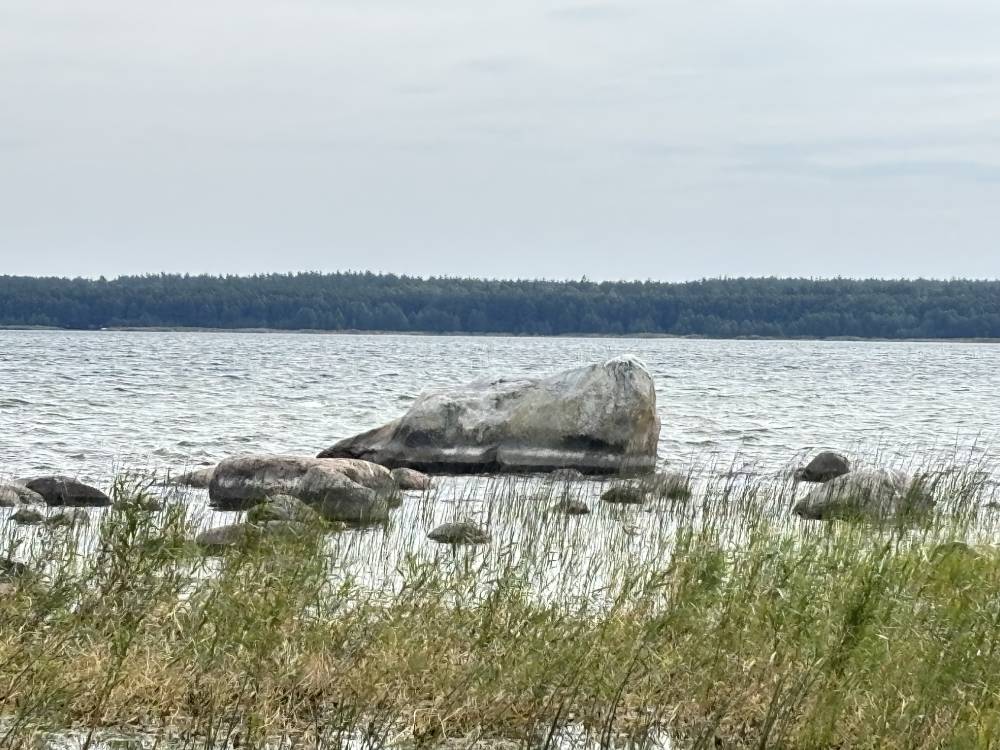 Sadulakivi, Käsmu