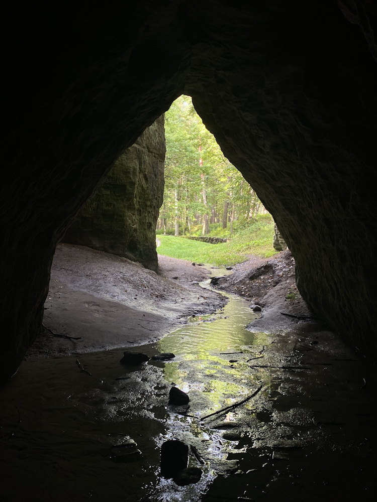 Liepa kuradikoobas