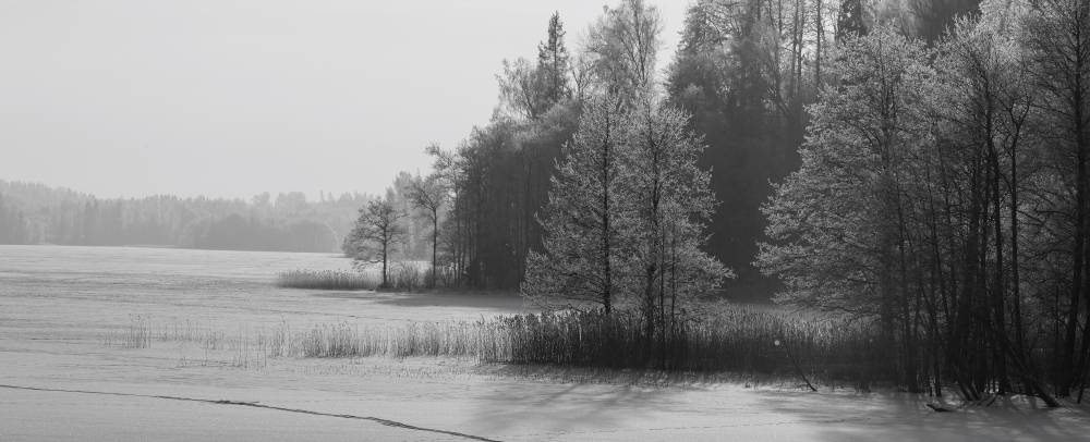 Pühajärv. Vaade härmas Murrunukile