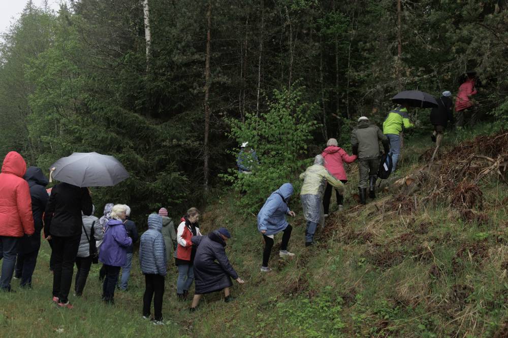 Eakate ekskursiooniga Kastolatsi ristimetsa serval