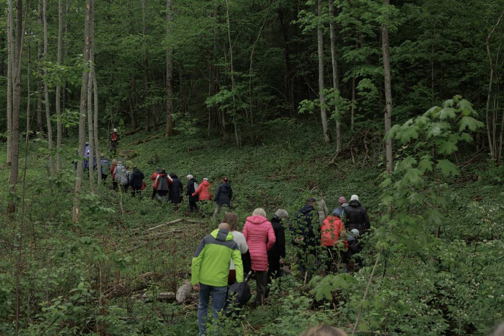 Eakate ekskursiooniga Kangrumäe ohvrikivini jõudmas