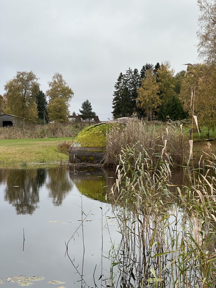 Kalevipoja kivi