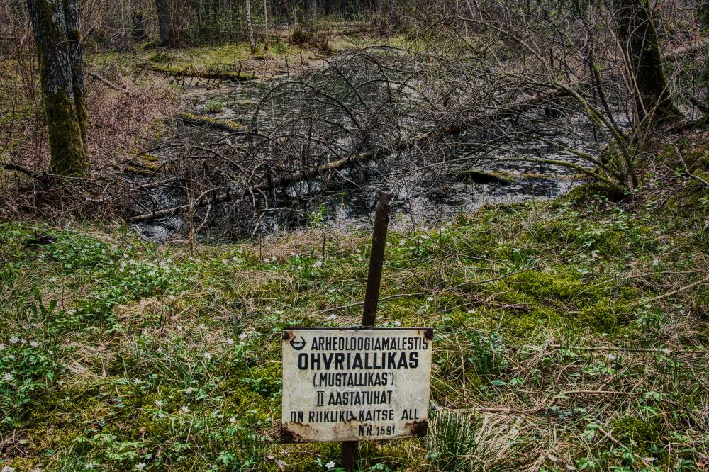 Mustallikas