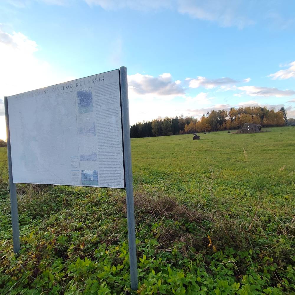 Kiviloo Nõiakivi ehk Rahakivi