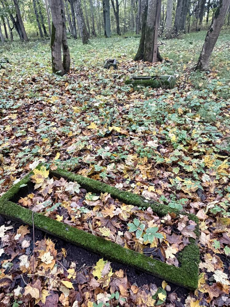Pühamäe Mõigu kalmistu