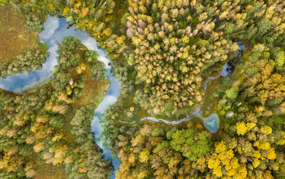 Sügisesed Saula siniallikad ja Saula Hiis