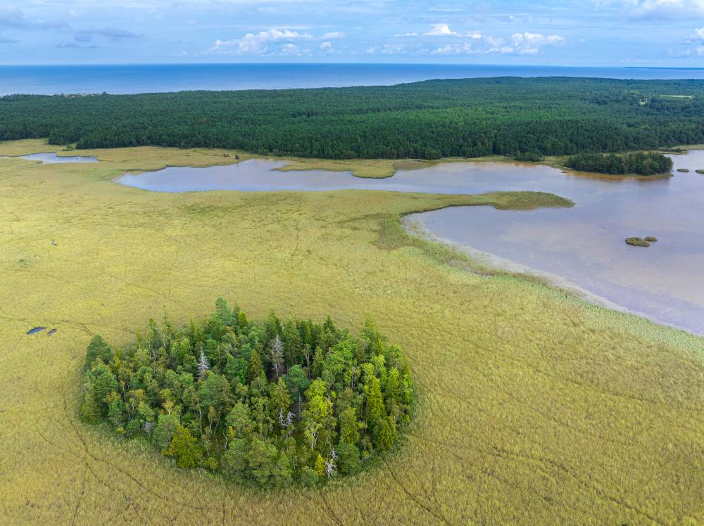 Pühapaik järve ja mere ääres