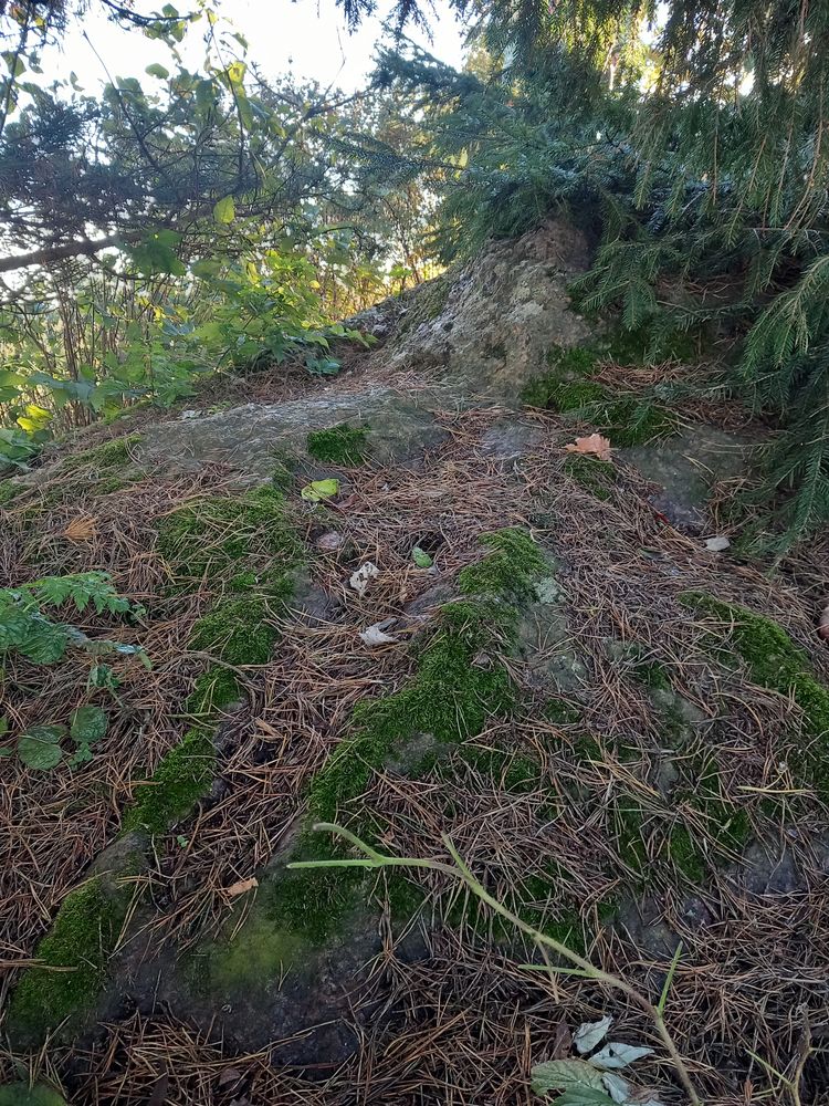 Torma ohvrikivi