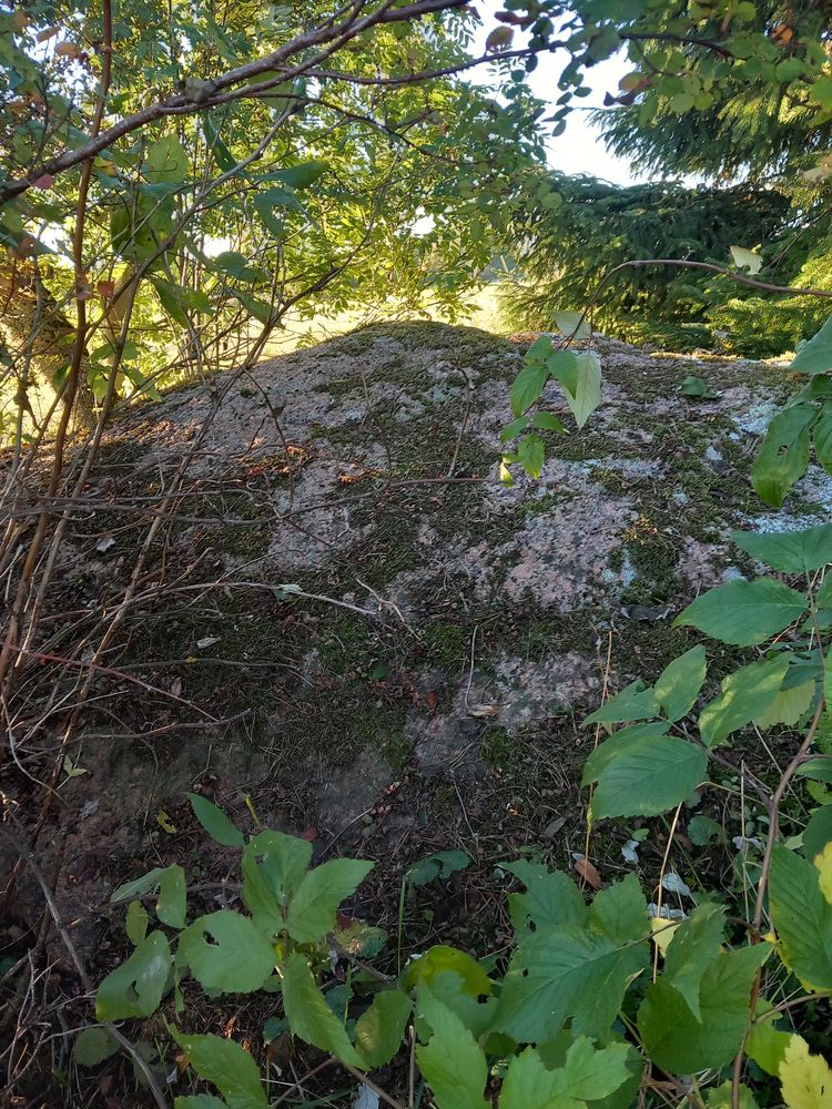 Torma ohvrikivi