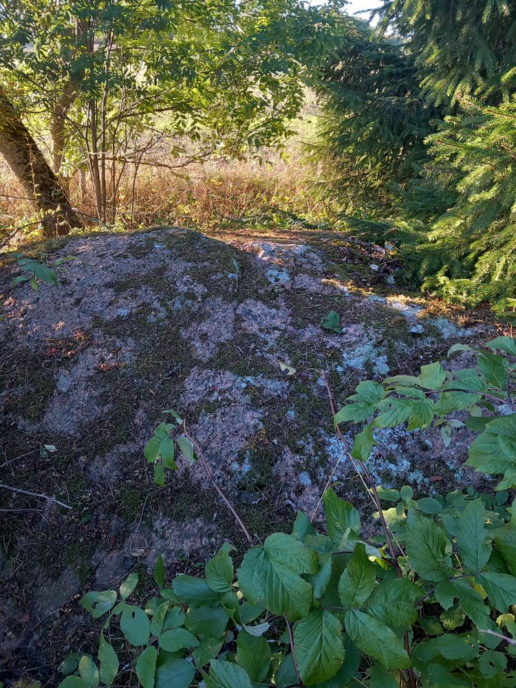 Torma ohvrikivi