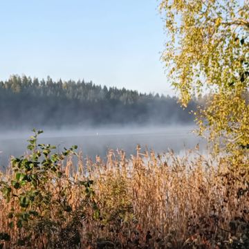 Jouttejjärvi