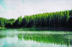 Священное озеро балтасинских удмуртов Лызинское (удм. Лӧзя ты, соврем. Черное озеро) 